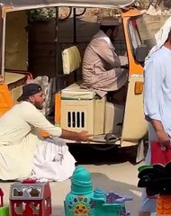 Slipper missing wait for the end#funny #comedy #dailyfun