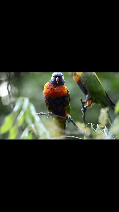 lv_0_20231229091901