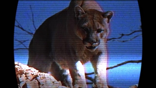 2 HISTORIAS REALES EXTREMADAMENTE DESGARRADORAS │La Habitación Oscura