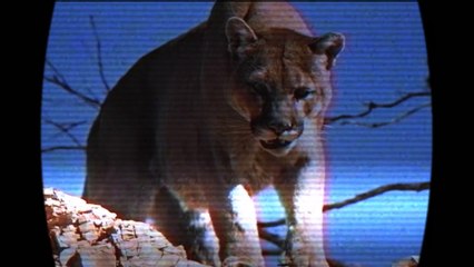 2 HISTORIAS REALES EXTREMADAMENTE DESGARRADORAS │La Habitación Oscura