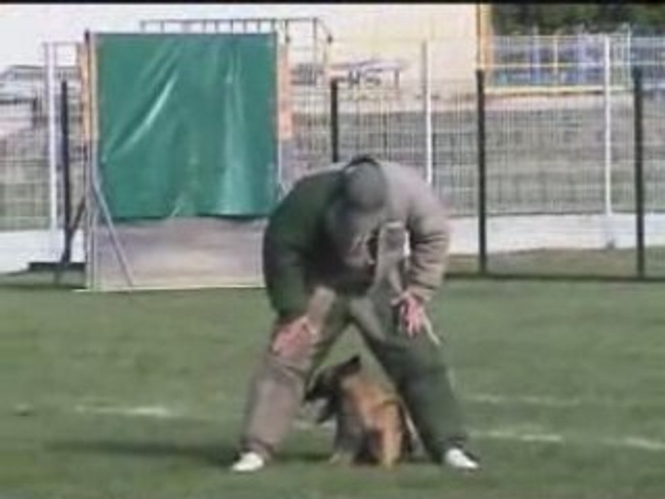 Sélectif Ring Reims 2007