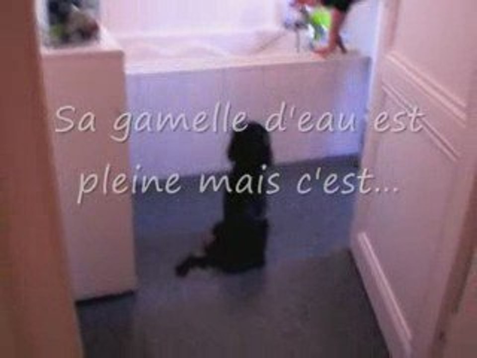 C'est meilleur comme ça...