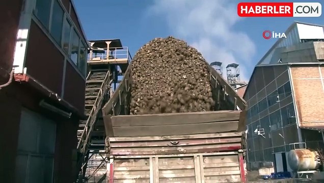 Malatya Şeker Fabrikası'nda Bu Yıl Hedef 65 Bin Ton Şeker Üretimi