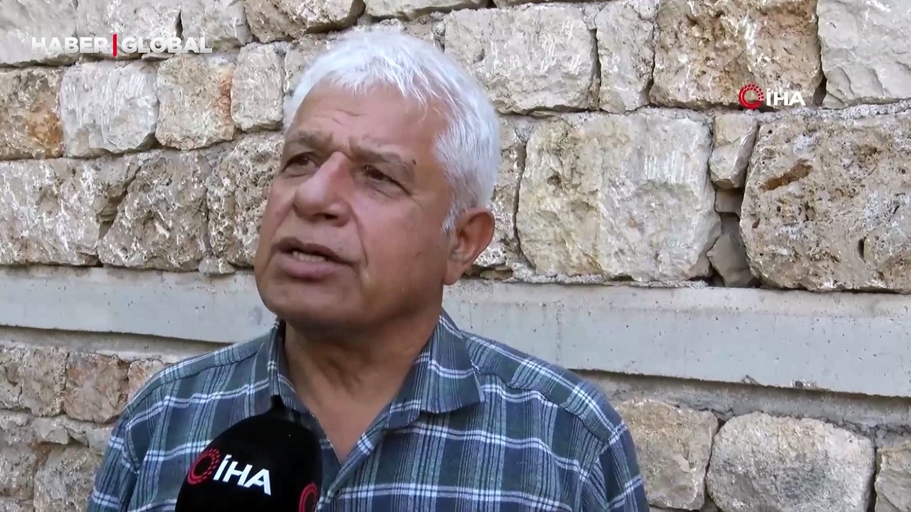 Antalya'da fok ile karşılaşan balıkçının sevinci "Ne haber? Şuna bakar mısınız? Fok var fok"