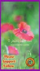 Beautiful Recitation Of Qur'an...! Récitation Du Coran