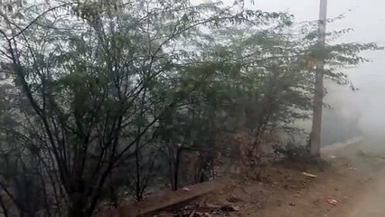 सुबह 11 बजे तक कोहरे का रहा पहरा