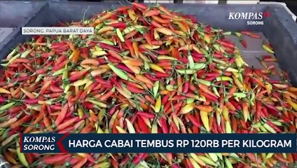Wamen Pertanian Temukan Harga Cabai di Sorong Capai Rp 120 Ribu