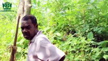 BIR DISOM DANGWA KODA  | SANTALI MOVIE ||