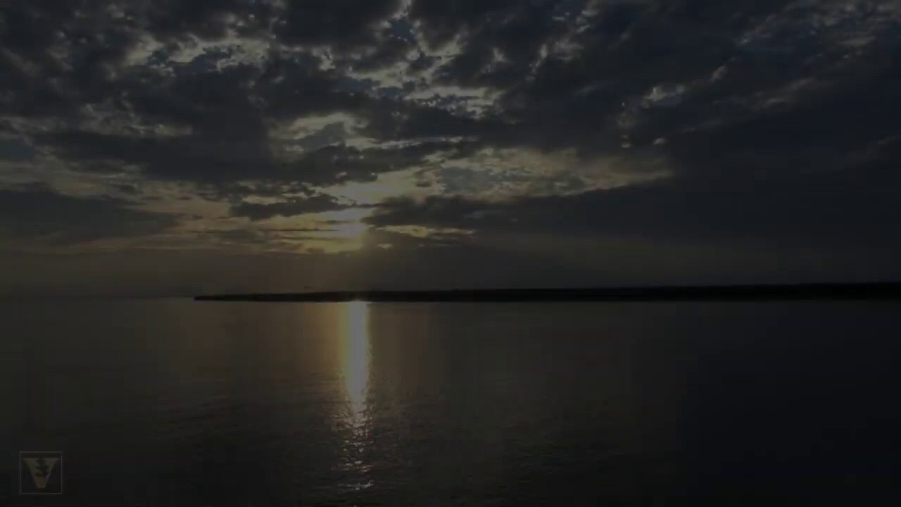 Electric eel uses highvoltage shocks to locate and stun prey