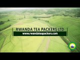 Rwanda Tea Packers Ltd Promo video