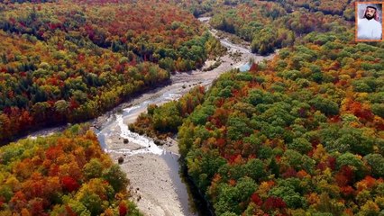 اجمل تلاوة على وجه الأرض