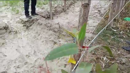 Badaun: Criminals attack on farmers 2