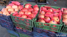 Frutta entra nella Striscia di Gaza, ? la prima volta da settimane