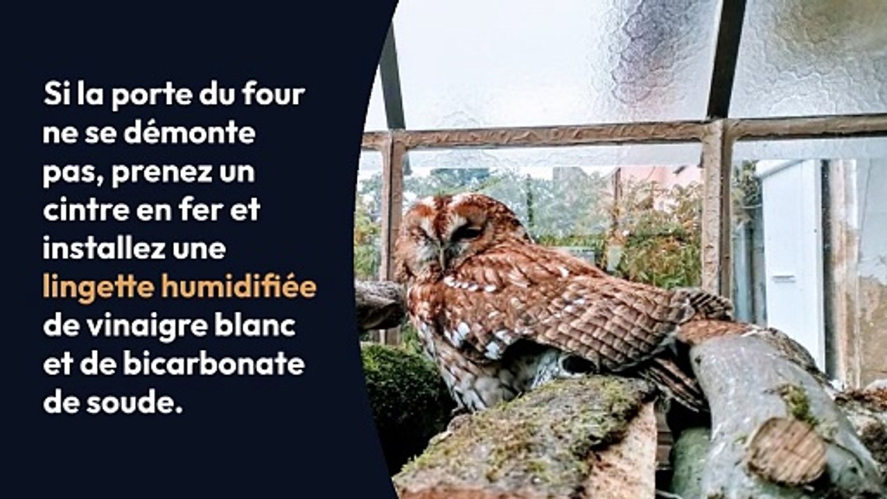 Nettoyer facilement la vitre de la porte du four avec cette astuce de grand-mère