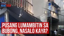 Pusang lumambitin sa bubong, nasalo kaya? | GMA Integrated Newsfeed