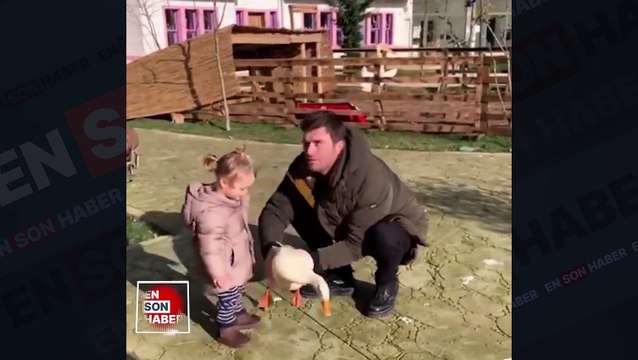 Kıvanç Tatlıtuğ oğlu Kurt Efe ile ördek sevdi