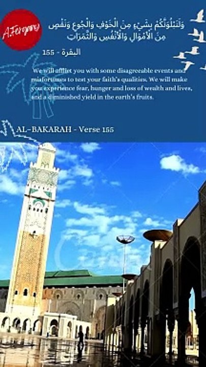 #009 when befallen with a misfortune or a calamity