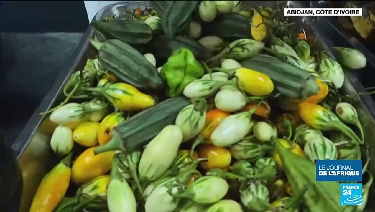 Côte d'Ivoire : réinventer la cuisine locale aux saveurs internationales avec le chef Charlie Koffi