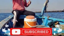 Fishing in karachi | Mangroves fishing in karachi | fishing videos