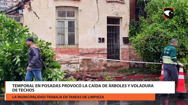 Temporal en Posadas provocó la caída de árboles y voladura de techos