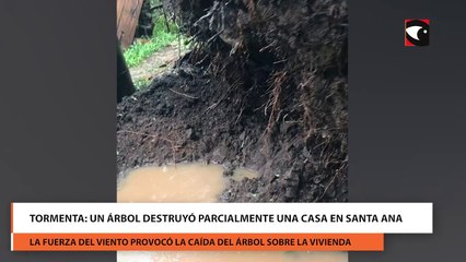 Tormenta: Un árbol destruyó parcialmente una casa en Santa Ana