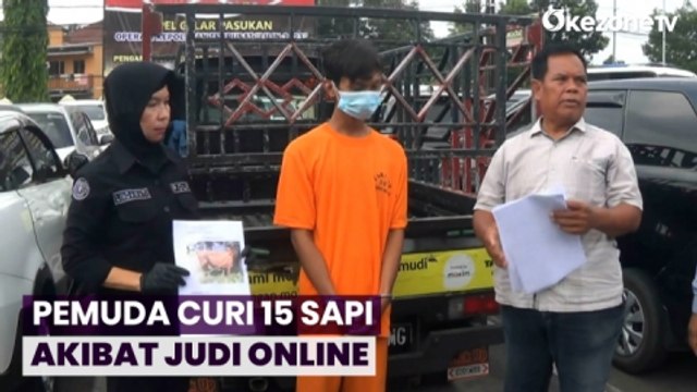 Kecanduan Judi Online, Pemuda Nekat Curi 15 Ekor Sapi di Sleman