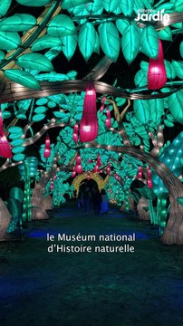 En voie d'illumination - Jardin des Plantes de Paris