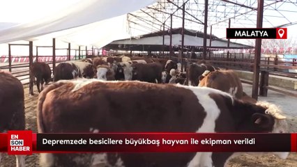 Depremzede besicilere büyükbaş hayvan ile ekipman verildi