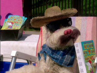 Greg the Bunny E06 HD Rabbit Redux