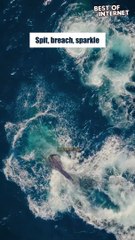 Aquatic Elegance: Whales Dance into a Rainbow Mirage! || Best of Internet