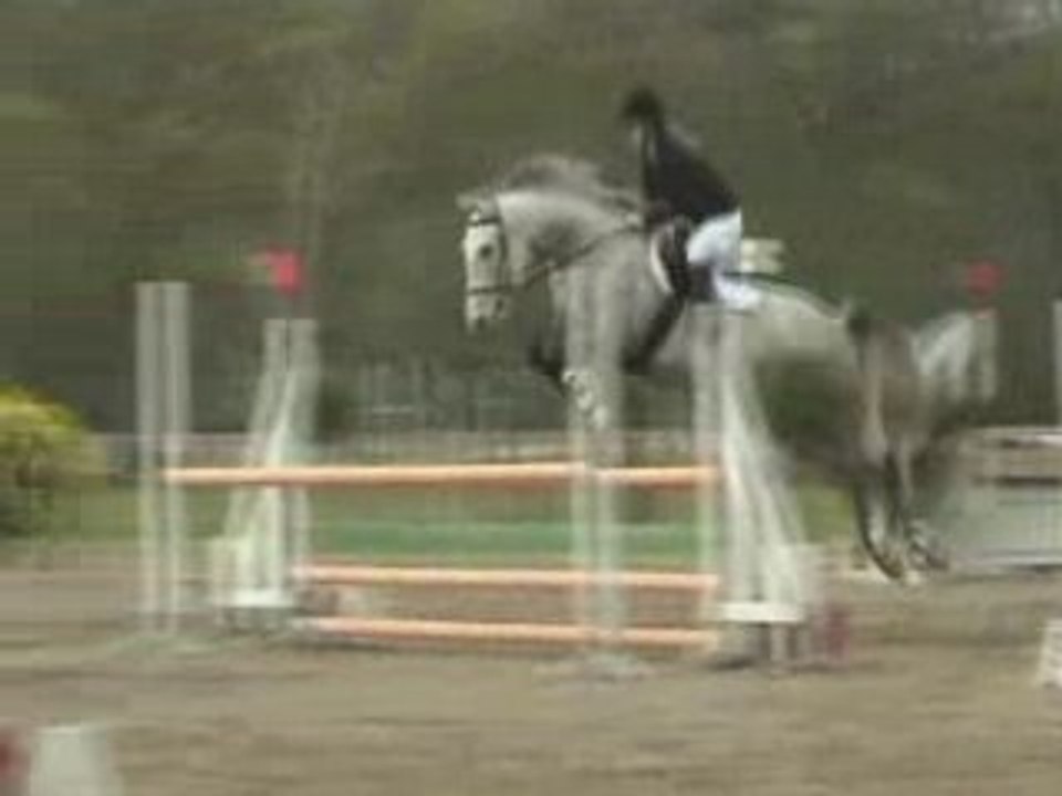 ENVT club 1