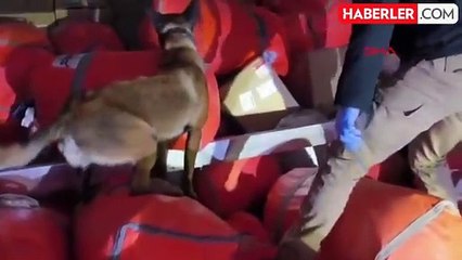 Batman'da 171 Kilo Skunk Ele Geçirildi