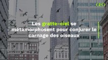 Les gratte-ciel se métamorphosent pour conjurer le carnage des oiseaux