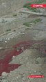 Mataderos clandestinos de cerdo en El Alto llenan de sangre y vísceras un río que desemboca en el Titicaca