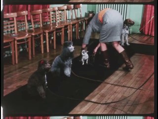 ABC Discovery 67 The World's Biggest Dog House with Bill Owen