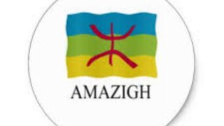 What do you know about the Amazigh language_