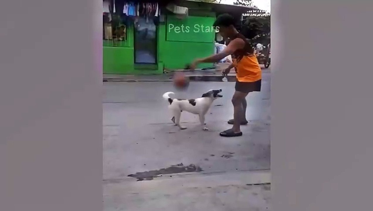 #ytshortsindia morsomt haha #comedys #babs #comedyshorts #cuteanimals #ytshortsindia​​​ #cutebaby #comdy #comedys #babs #comedyshorts #cuteanimalsytshortsindia #ytshortsindia 有趣哈哈 #cutebaby #comdycomedys #ba# Comedyshorts #cuteanimals#ytshortsindia#ytshor