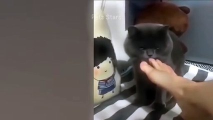 #ytshortsindia morsomt haha #comedys #babs #comedyshor90