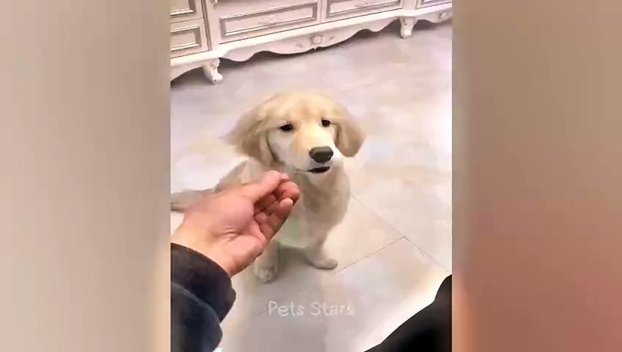 #ytshortsindia morsomt haha #comedys #babs #comedyshorts #cuteanimals #ytshortsindia​​​ #cutebaby #comdy #comedys #babs #comedyshorts #cuteanimalsytshortsindia #ytshortsindia 有趣哈哈 #cutebaby #comdycomedys #ba# Comedyshorts #cuteanimals#ytshortsindia#ytshor