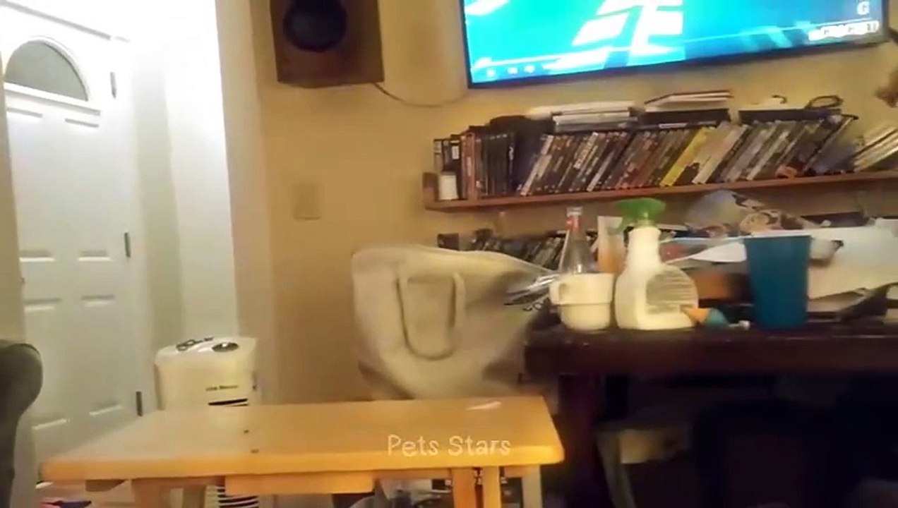 #ytshortsindia morsomt haha #comedys #babs #comedyshorts #cuteanimals #ytshortsindia​​​ #cutebaby #comdy #comedys #babs #comedyshorts #cuteanimalsytshortsindia #ytshortsindia 有趣哈哈 #cutebaby #comdycomedys #ba# Comedyshorts #cuteanimals#ytsho98dia#ytshor