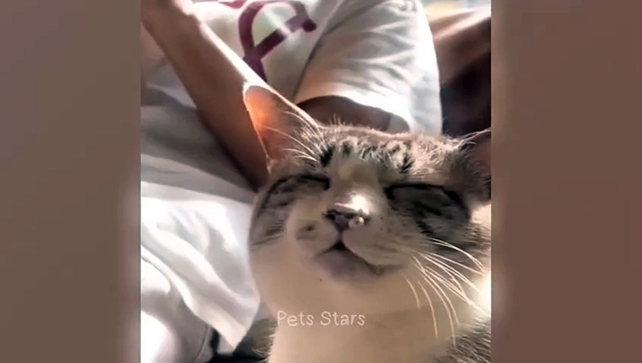 #ytshortsindia morsomt haha #comedys #babs #comedyshorts #cuteanimals #ytshortsindia​​​ #cutebaby #comdy #comedys #babs #comedyshorts #cuteanimalsytshortsindia #ytshortsindia 有趣哈哈 #cutebaby #comdycomedys #ba# Comedyshorts #cuteanimals#ytshortsindia#ytsh40