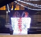 Piazza Calamatta, minorenni vandalizzano le luminarie