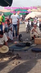 Snake tamers in Jemaa El Fna Square, Marrakesh