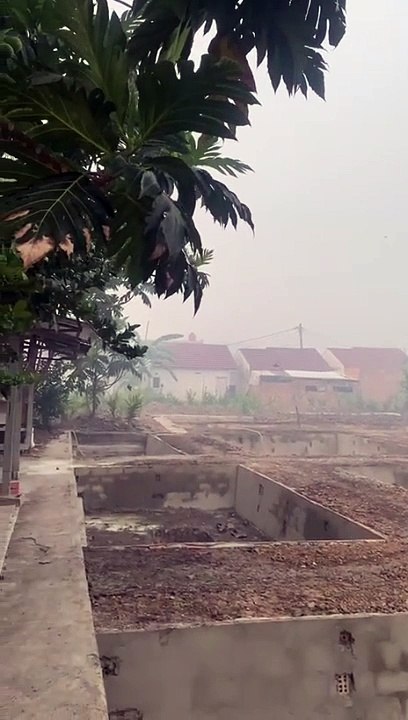 Proses pembuatan kolam TANAH semi BETON❗Agar bebas masuk pakan alternatif