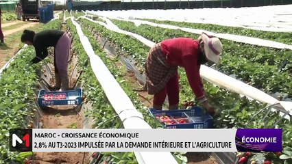 JT Economie - 29/12/2023