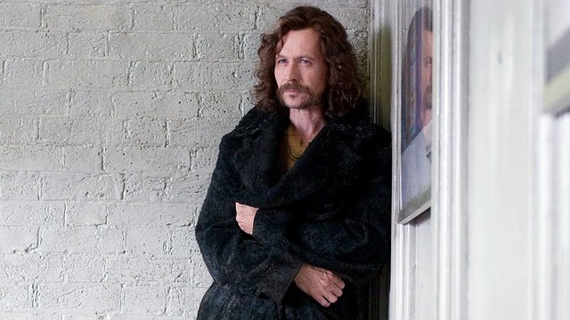 Gary Oldman Calls His 'Harry Potter' Performance Mediocre | THR News Video
