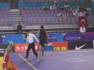 Lethal kick to the head