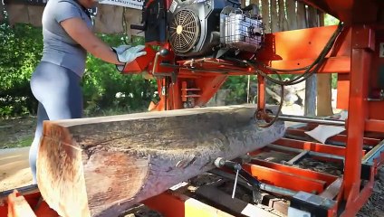 This Gorgeous Mystery Log Did Not Disappoint!