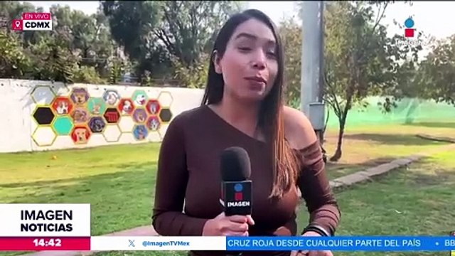 Perritos del Centro de Transferencia Canina ayudarán a los Reyes Magos