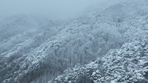 [날씨] 2023년 마지막 주말, 전국 눈·비...중부 강한 눈 / YTN